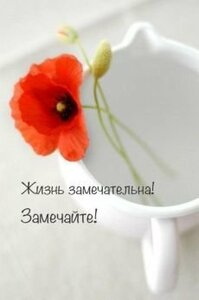 /pic/uploaded/002d00e4542898eb08d028f2ccd2946a.thumb.jpg.f2828248fbb274b2dea5e6723bcbf017.jpg