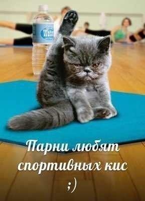 /pic/uploaded/104200192_3KAm5YIUC80.jpg