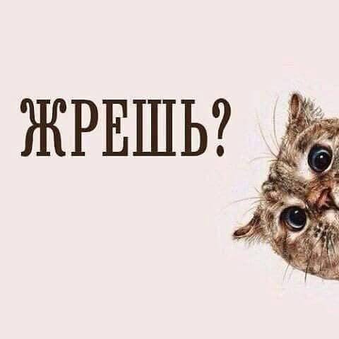 /pic/uploaded/11081054_1451117088512951_6983828736609909479_n.jpg