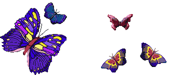 /pic/uploaded/114d659b67cf8abde4cf24bdde3b8929.gif