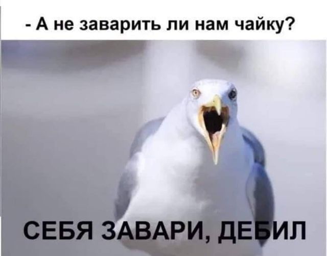 /pic/uploaded/132512716_3891826050870371_2209109697439107004_o.jpg