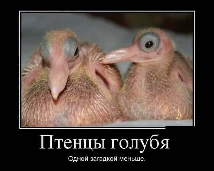 /pic/uploaded/14.jpg