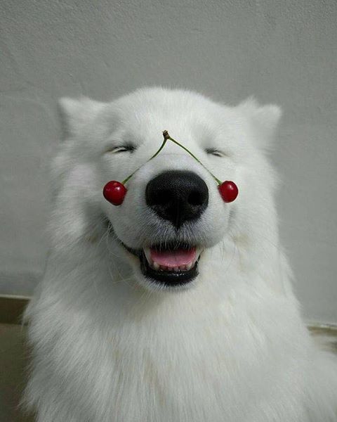 /pic/uploaded/19225082_1910836812472667_4054845894386849968_n.jpg