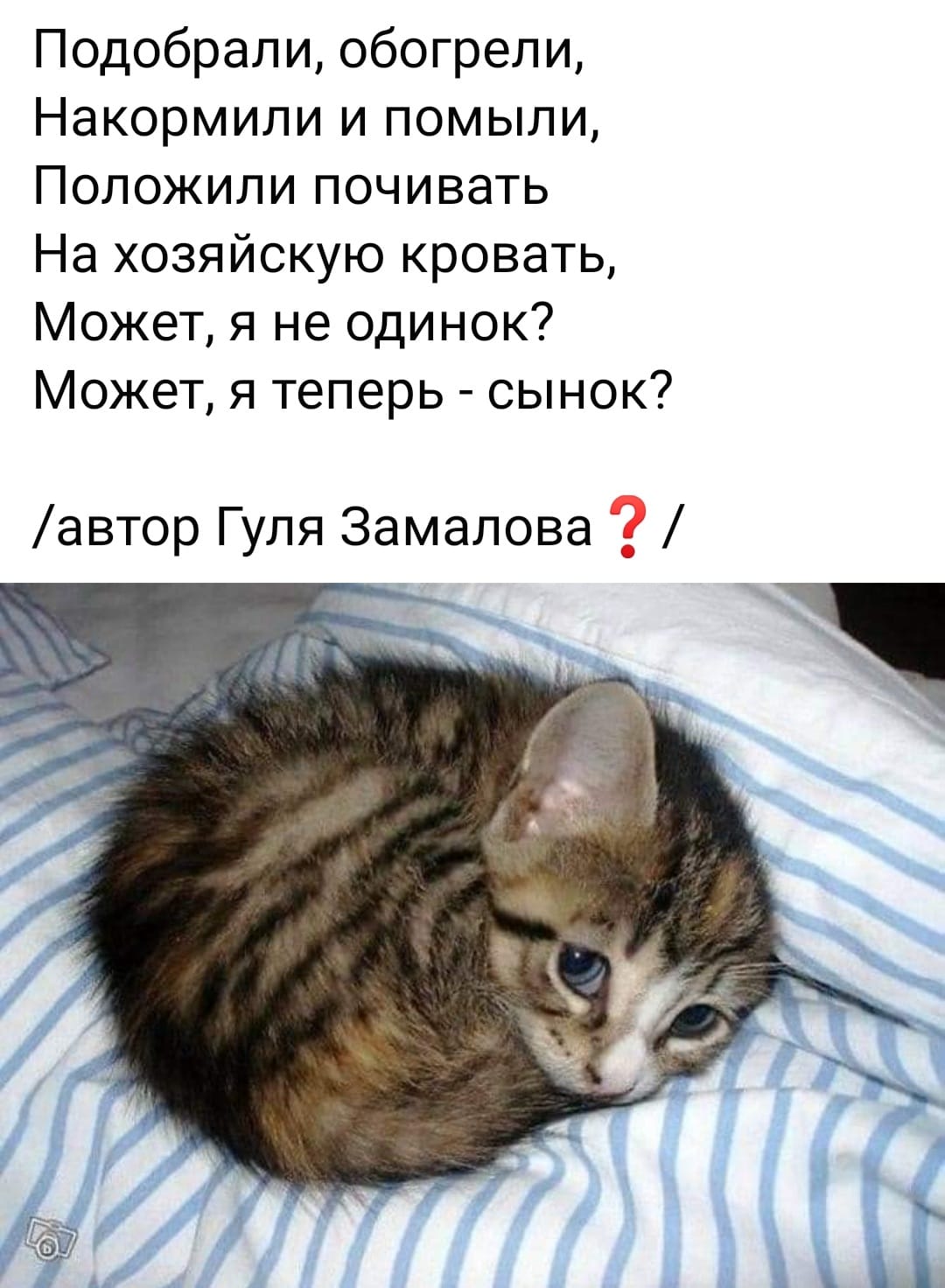 /pic/uploaded/1f1ef733-1f1f-401e-9da4-4949ac9901db.jfif
