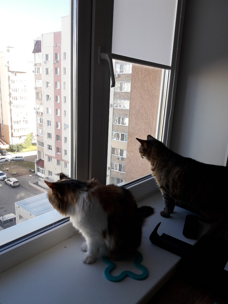 /pic/uploaded/20181001_101435-774x1032.jpg