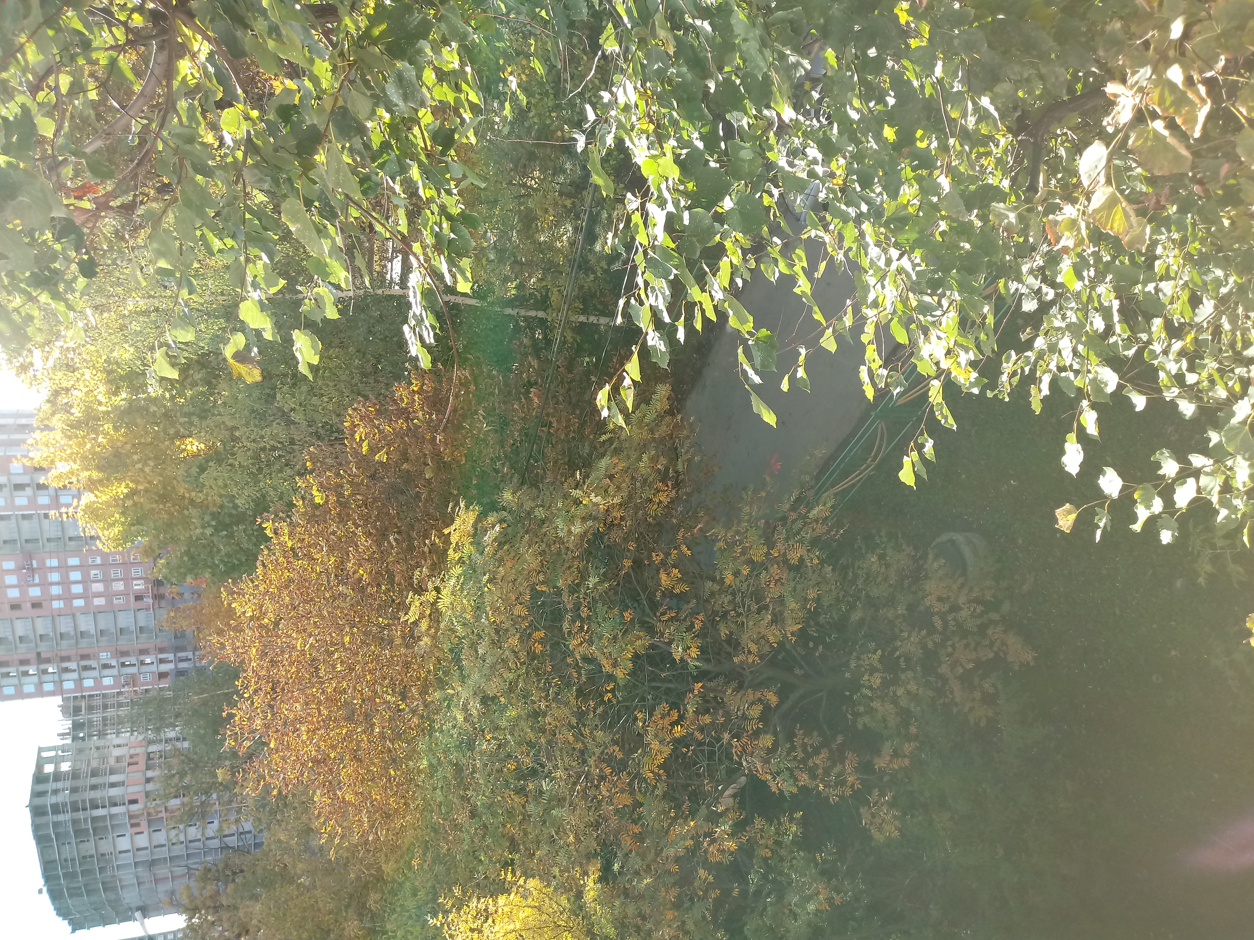 /pic/uploaded/20181011_095038.jpg