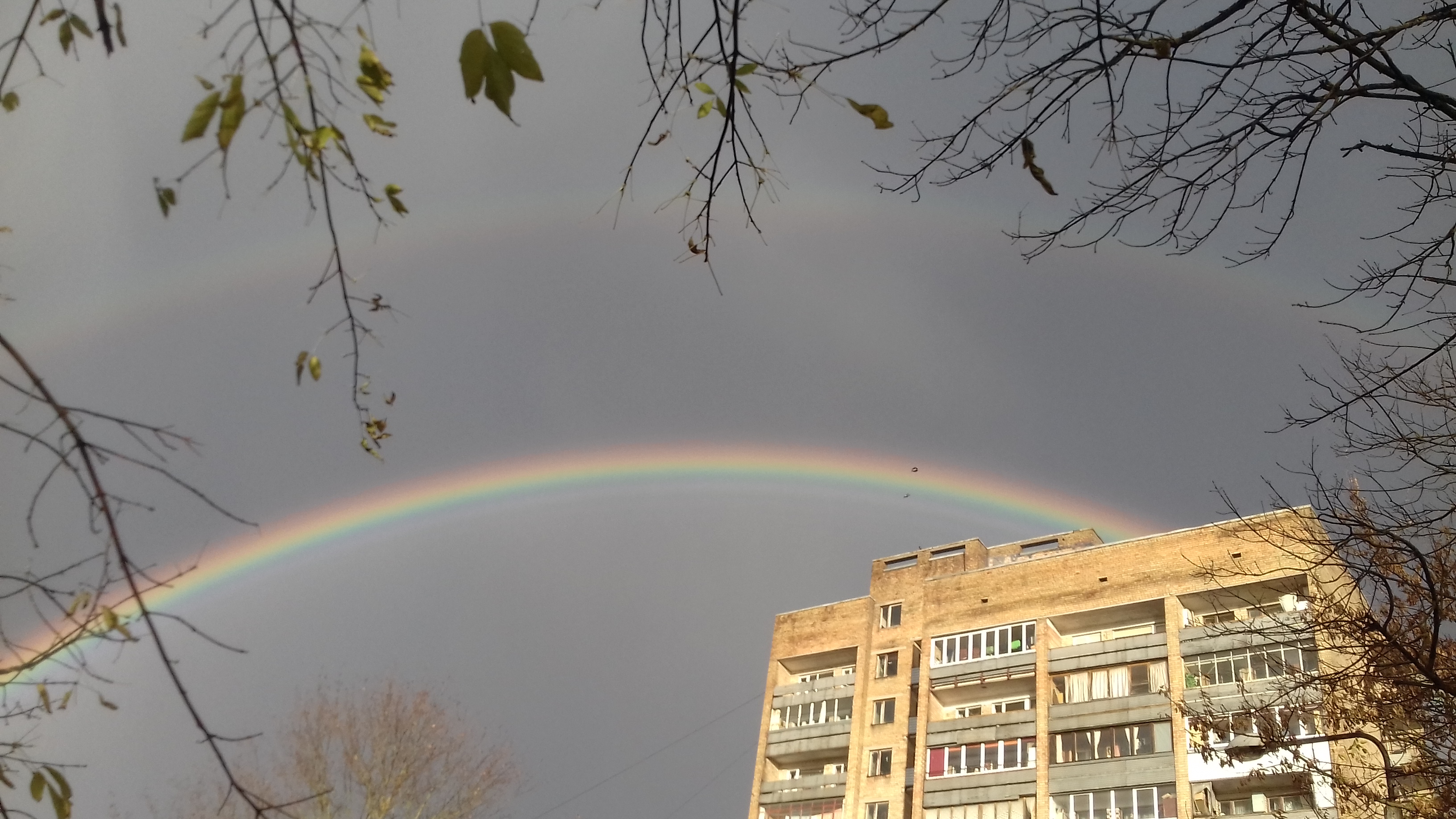 /pic/uploaded/20181026_165111.jpg
