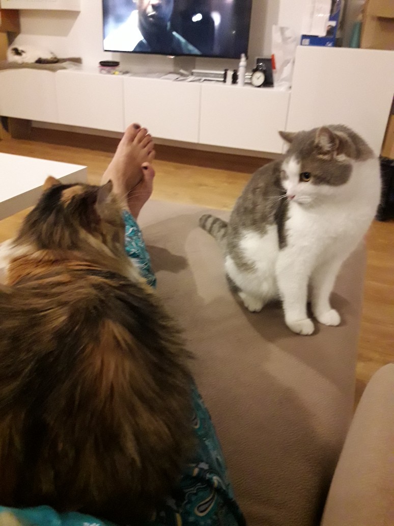/pic/uploaded/20181222_220653-774x1032.jpg