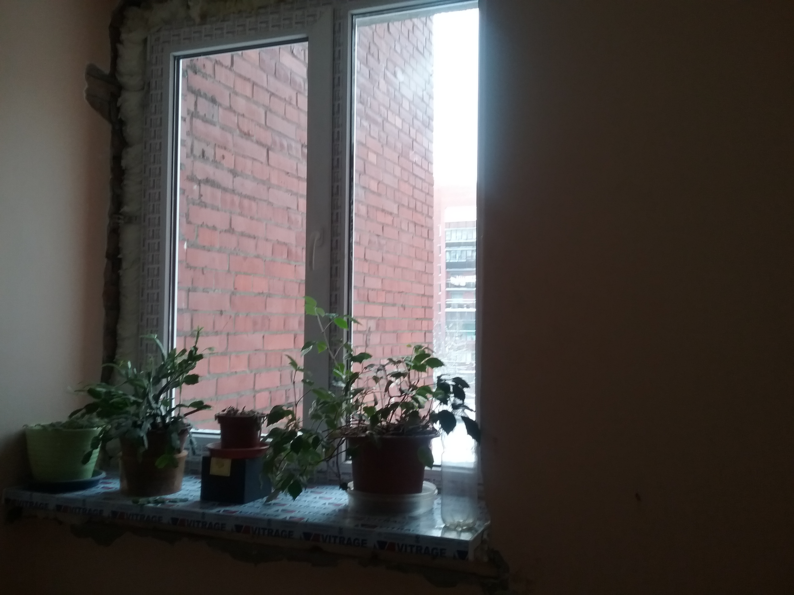 /pic/uploaded/20190125_135037.jpg