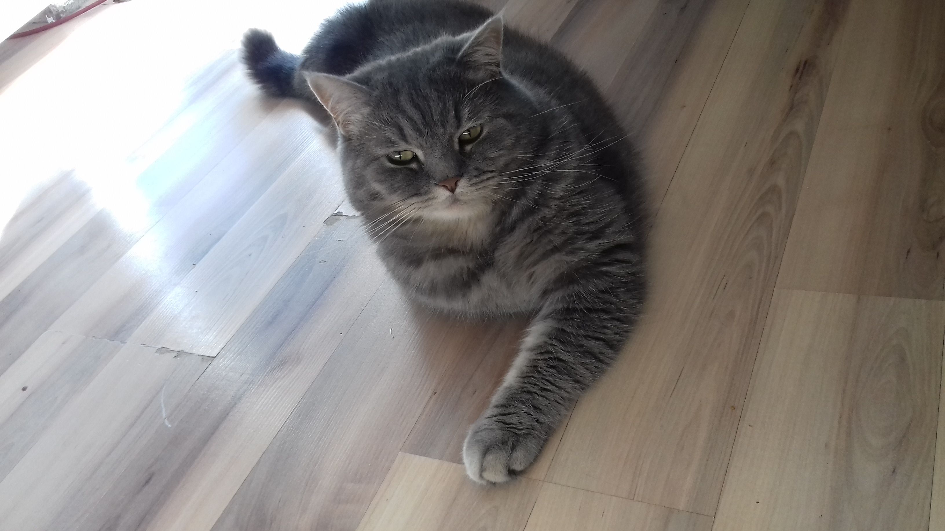/pic/uploaded/20190628_092318.jpg