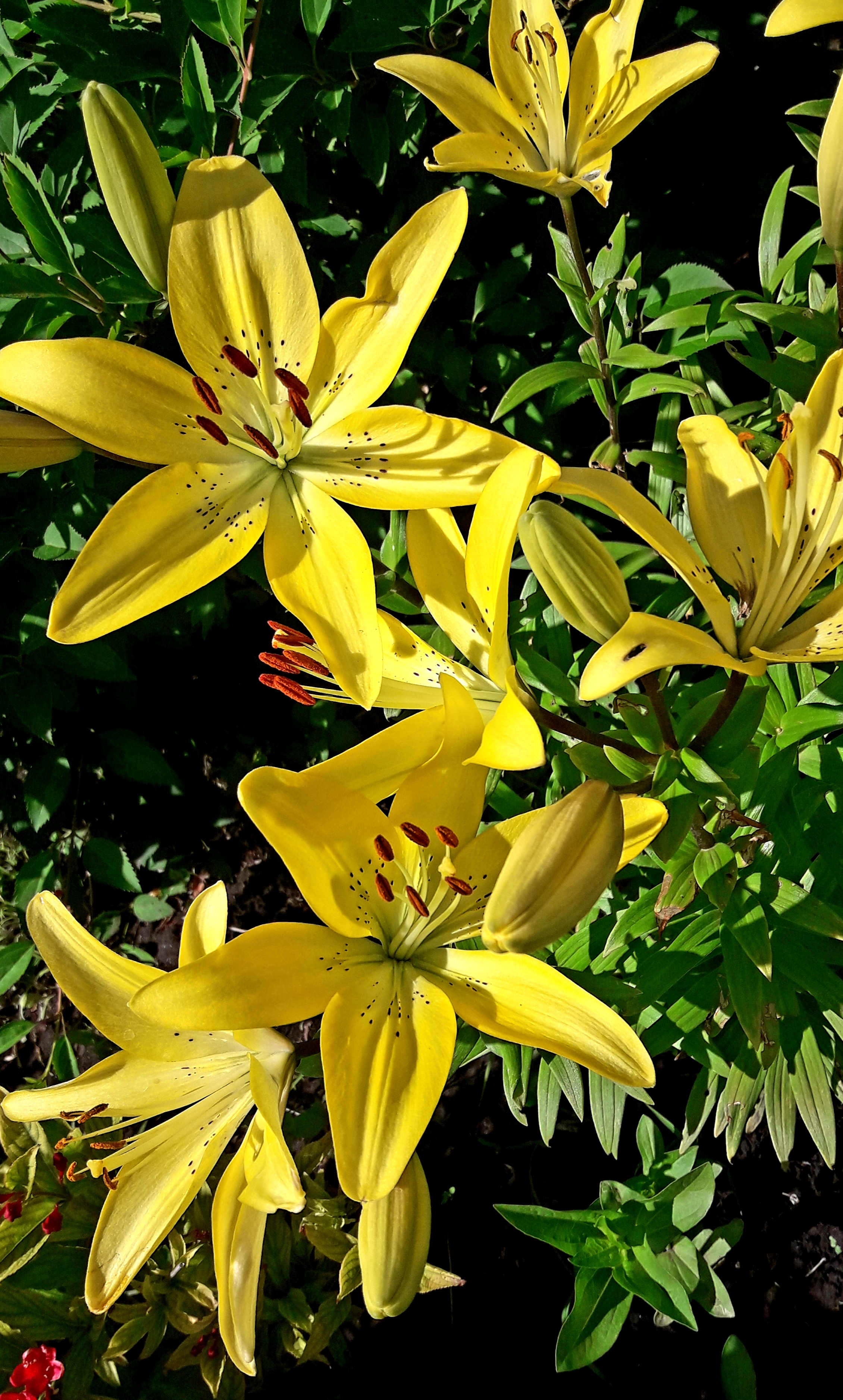 /pic/uploaded/20190705_141638.jpg