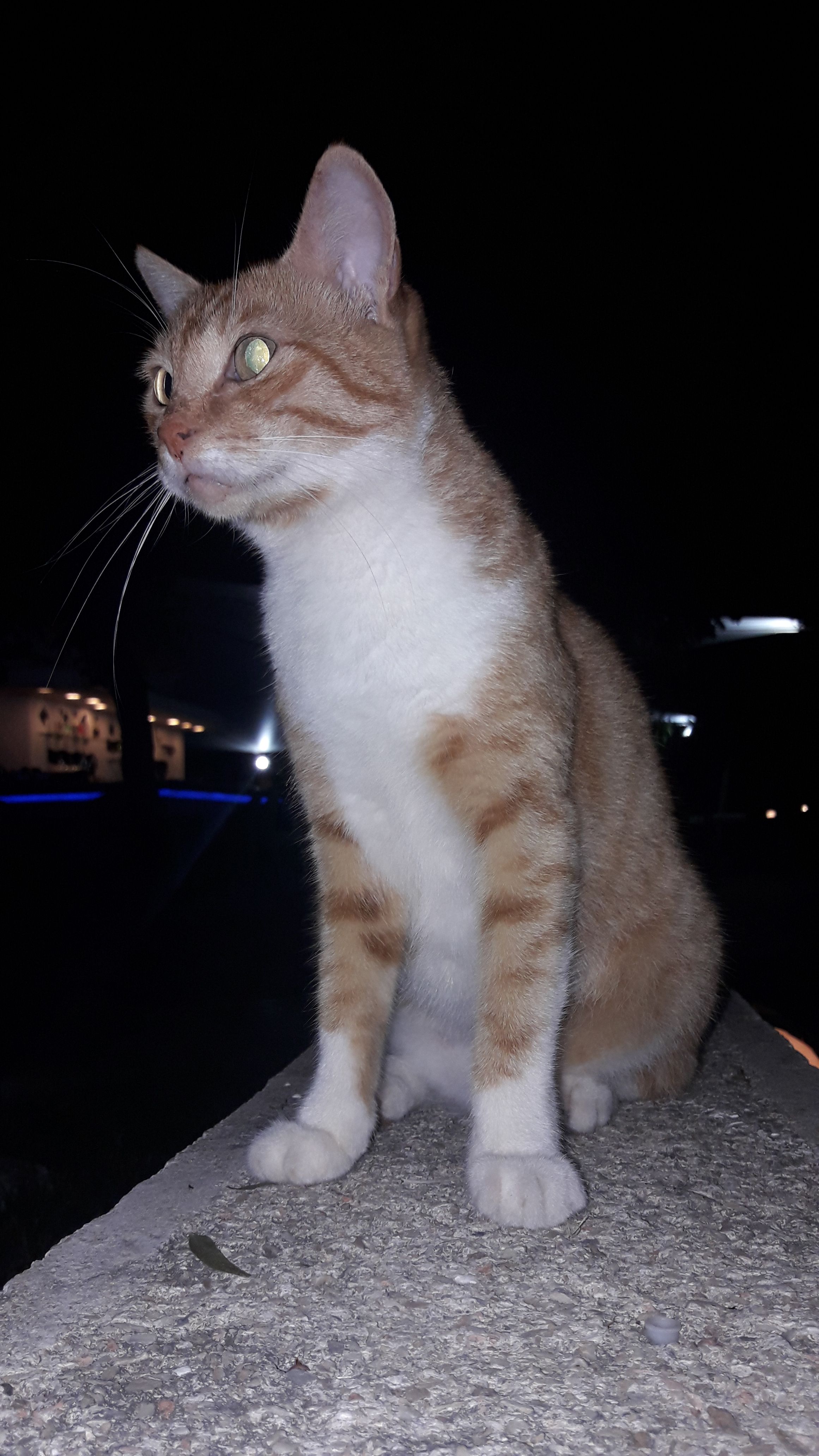 /pic/uploaded/20190924_200412.jpg