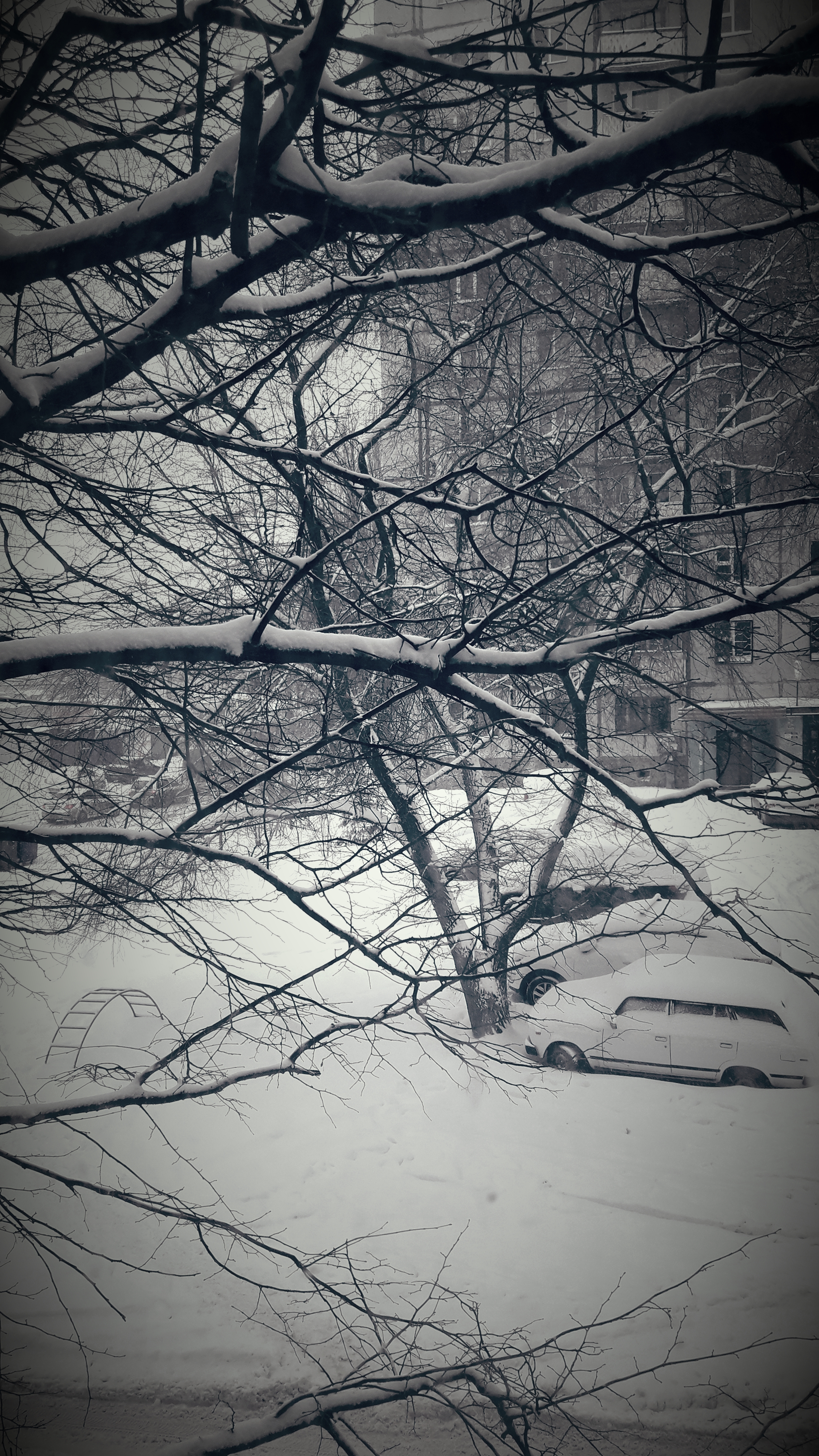 /pic/uploaded/20200131_122650.jpg