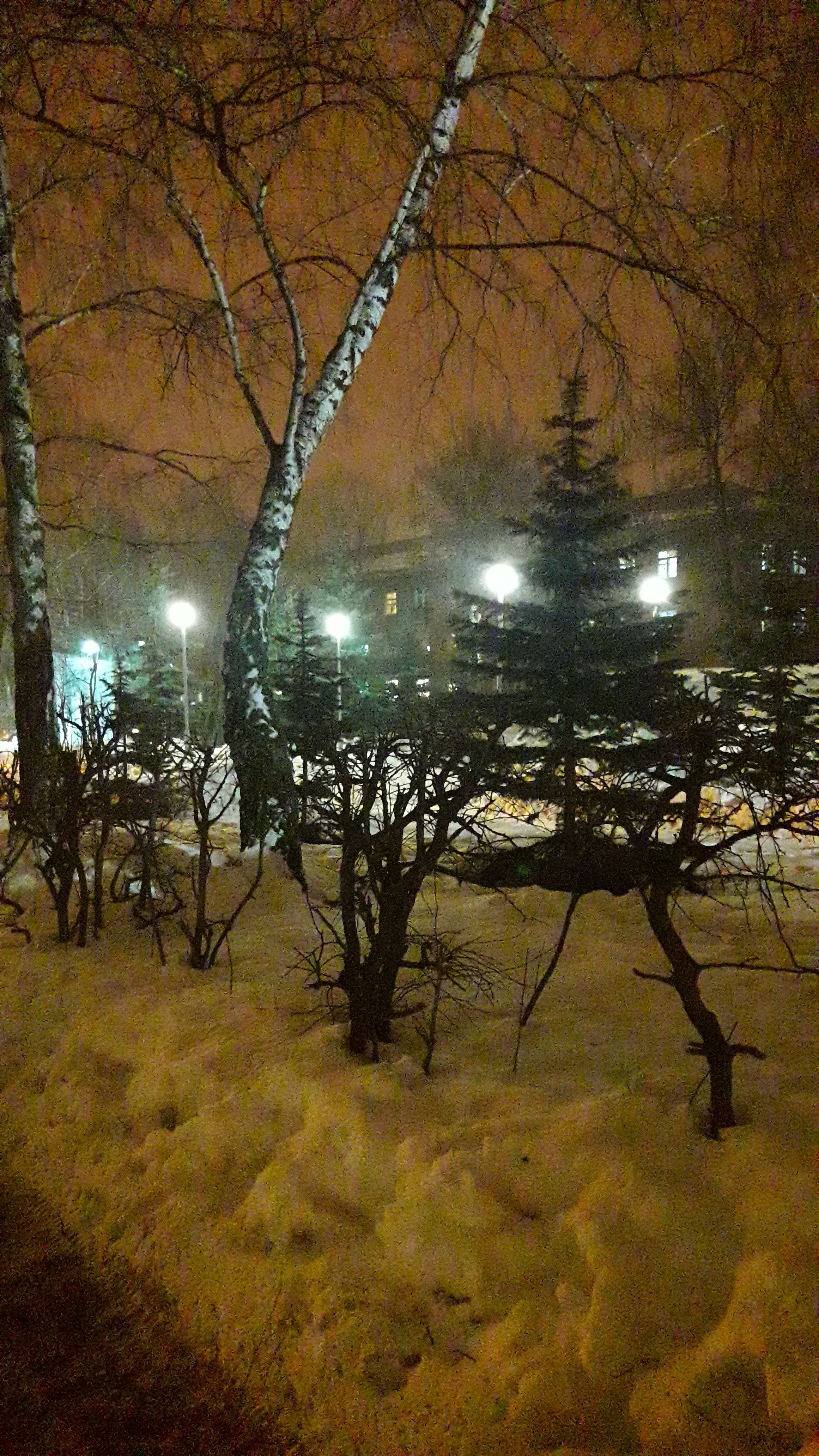 /pic/uploaded/20200219_194419.jpg