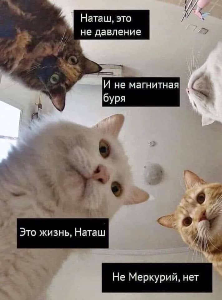 /pic/uploaded/215880530_4335376923152410_6478294682212729609_n.jpg