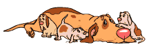 /pic/uploaded/276b3adbf8223a26c18c1157ec205a0f.gif