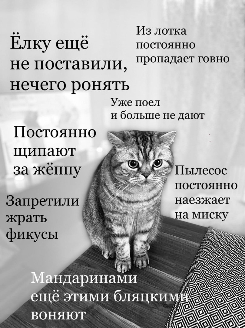 /pic/uploaded/2TjBgbhAr2Y.jpg