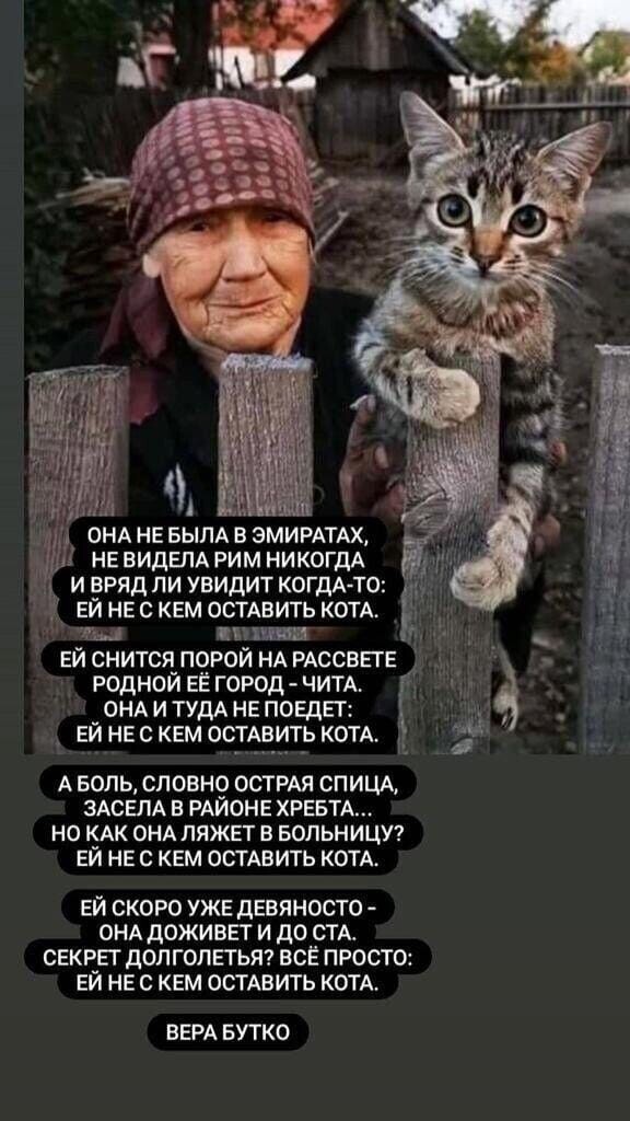 /pic/uploaded/32364745-c647-4531-a050-5e5be415313f_(1).jfif