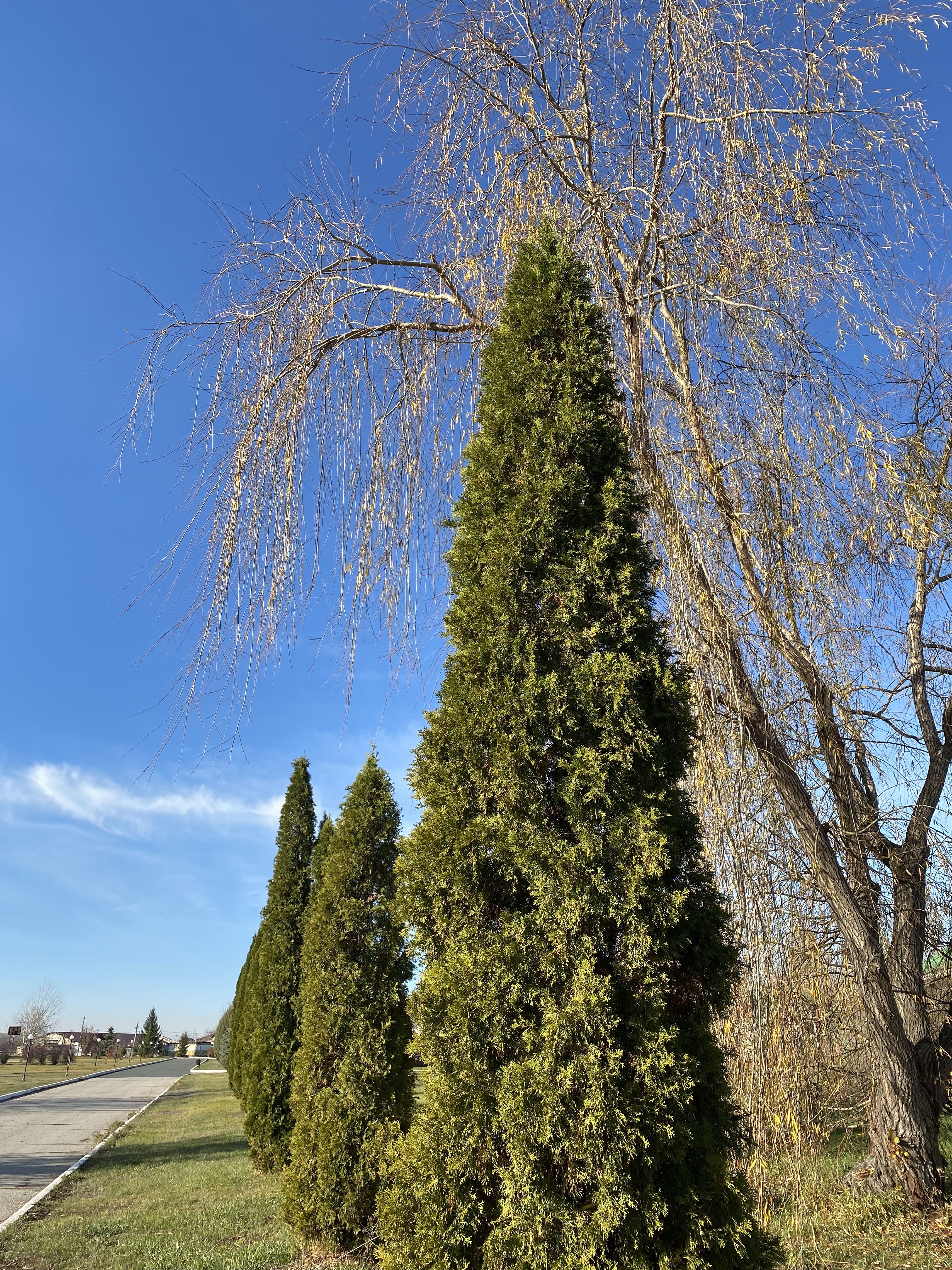 /pic/uploaded/3B6CE7AC-3D8C-4E2E-8A45-F5F28CE4D864.jpeg