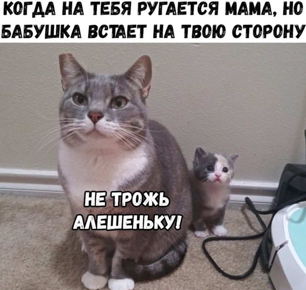 /pic/uploaded/3_cRVfFCG.jpg