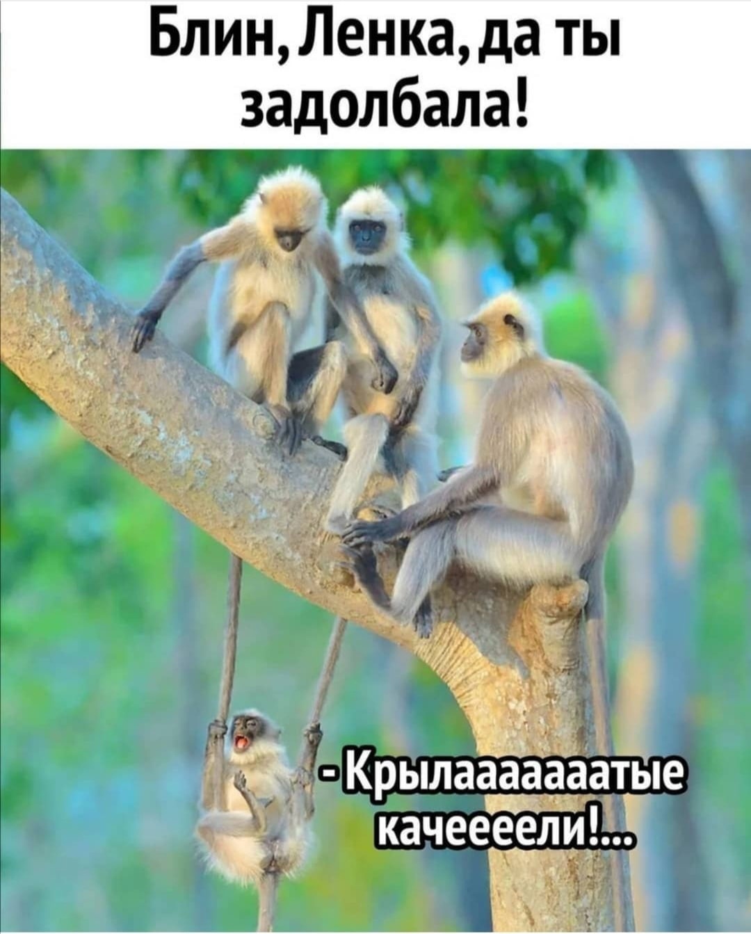 /pic/uploaded/46La5CmUXgA.jpg