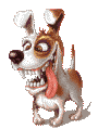 /pic/uploaded/51f7ee44bd29447e7909a151b39fcced.gif