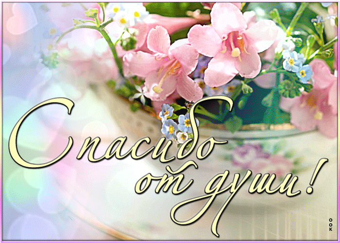 /pic/uploaded/54072E97-EE11-4996-81E1-07CF2AED8144.gif