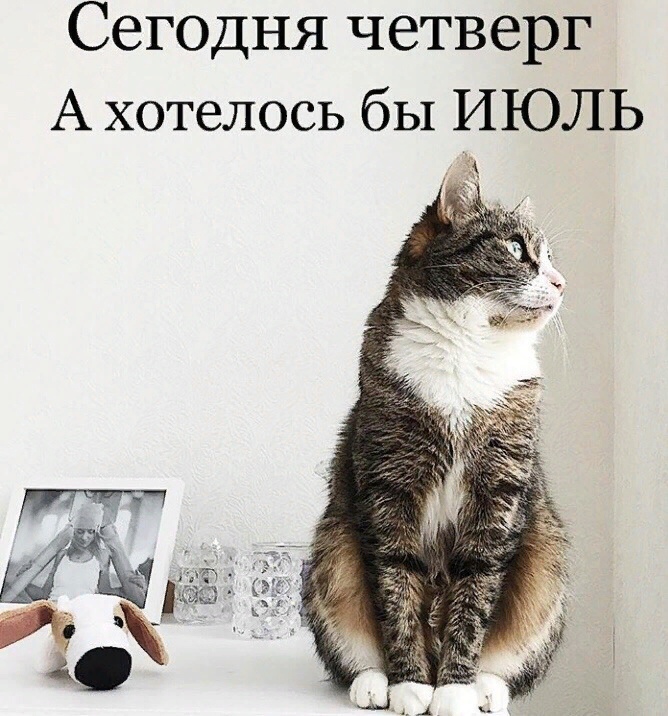 /pic/uploaded/57DE8F27-493A-490D-A356-4320B981AB3C.jpeg