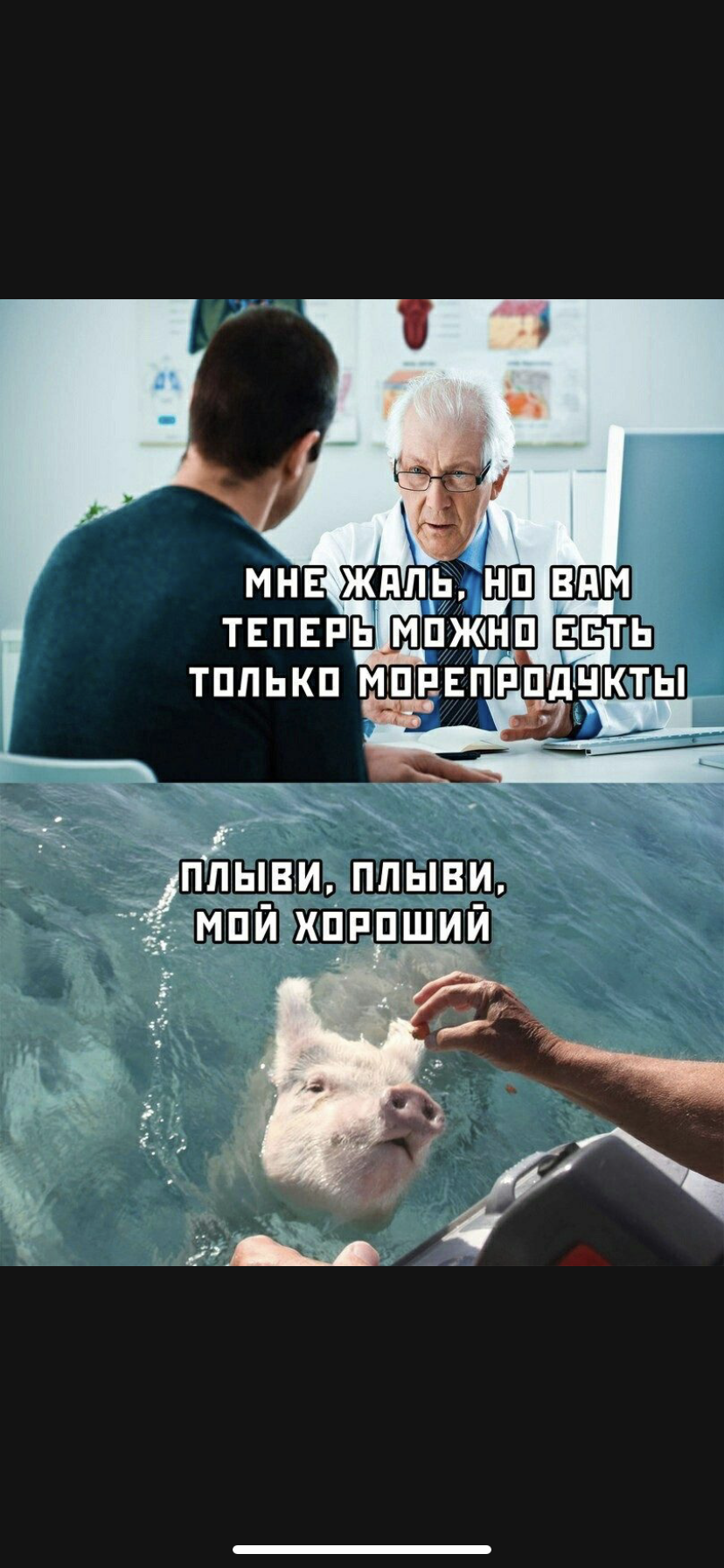 /pic/uploaded/5AC05834-7572-4144-89D4-C666B86B7055.png