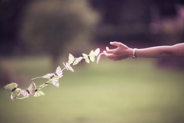/pic/uploaded/7BaQza8bg0I.jpg