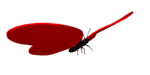 /pic/uploaded/8dacae6ae0d9d9ede4c5cb4a8a6986bf.gif