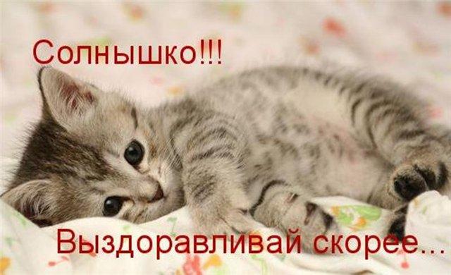 /pic/uploaded/971615890.jpg