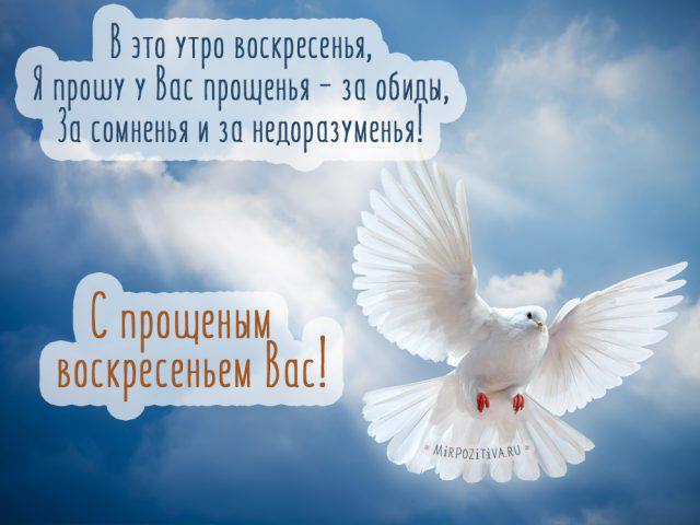 /pic/uploaded/A46EBDE8-C0CF-4EDA-8286-C00292E74F31.jpeg
