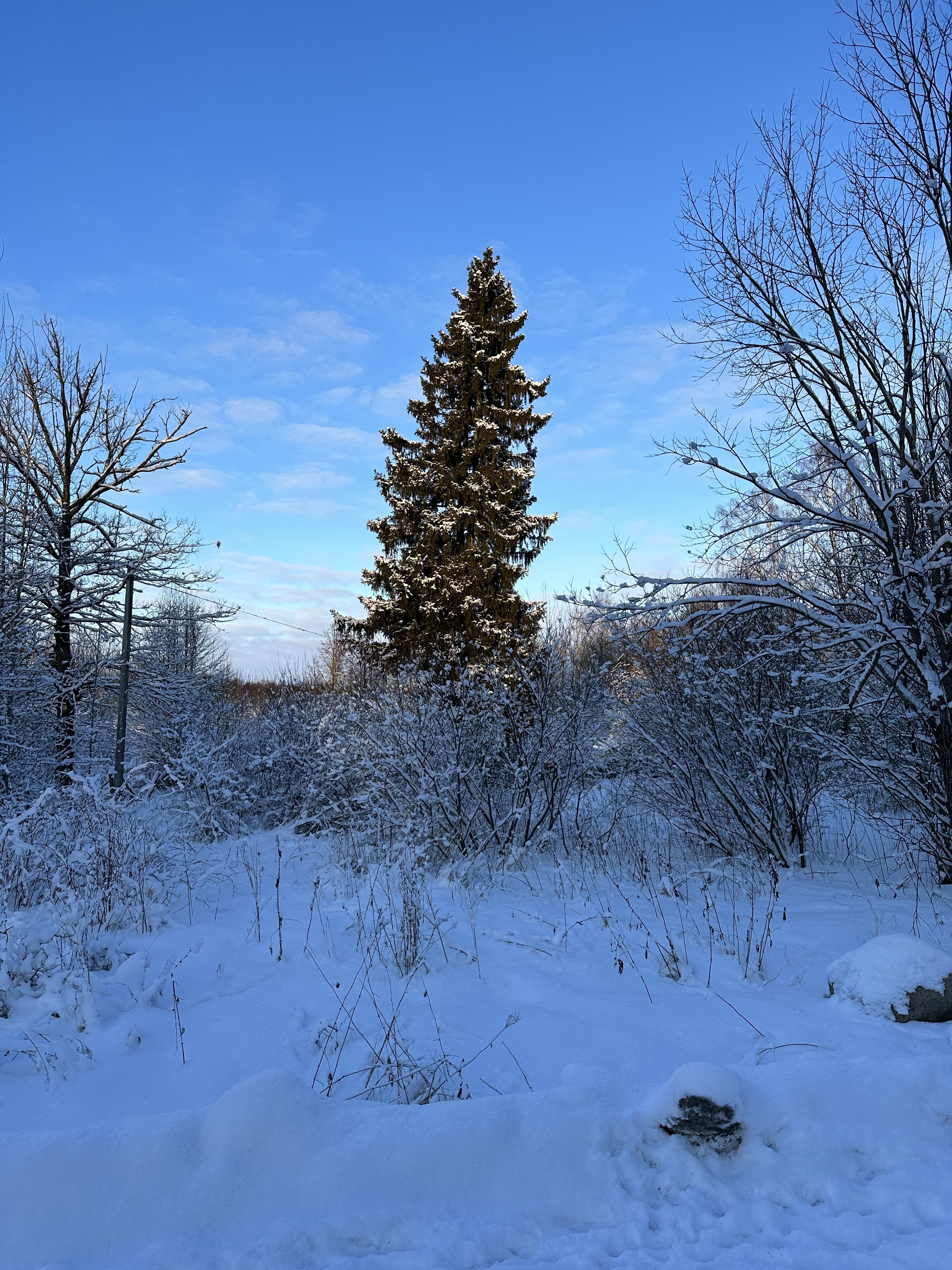 /pic/uploaded/A745D36A-CD6C-4075-A64C-79609D30AFF7.jpeg
