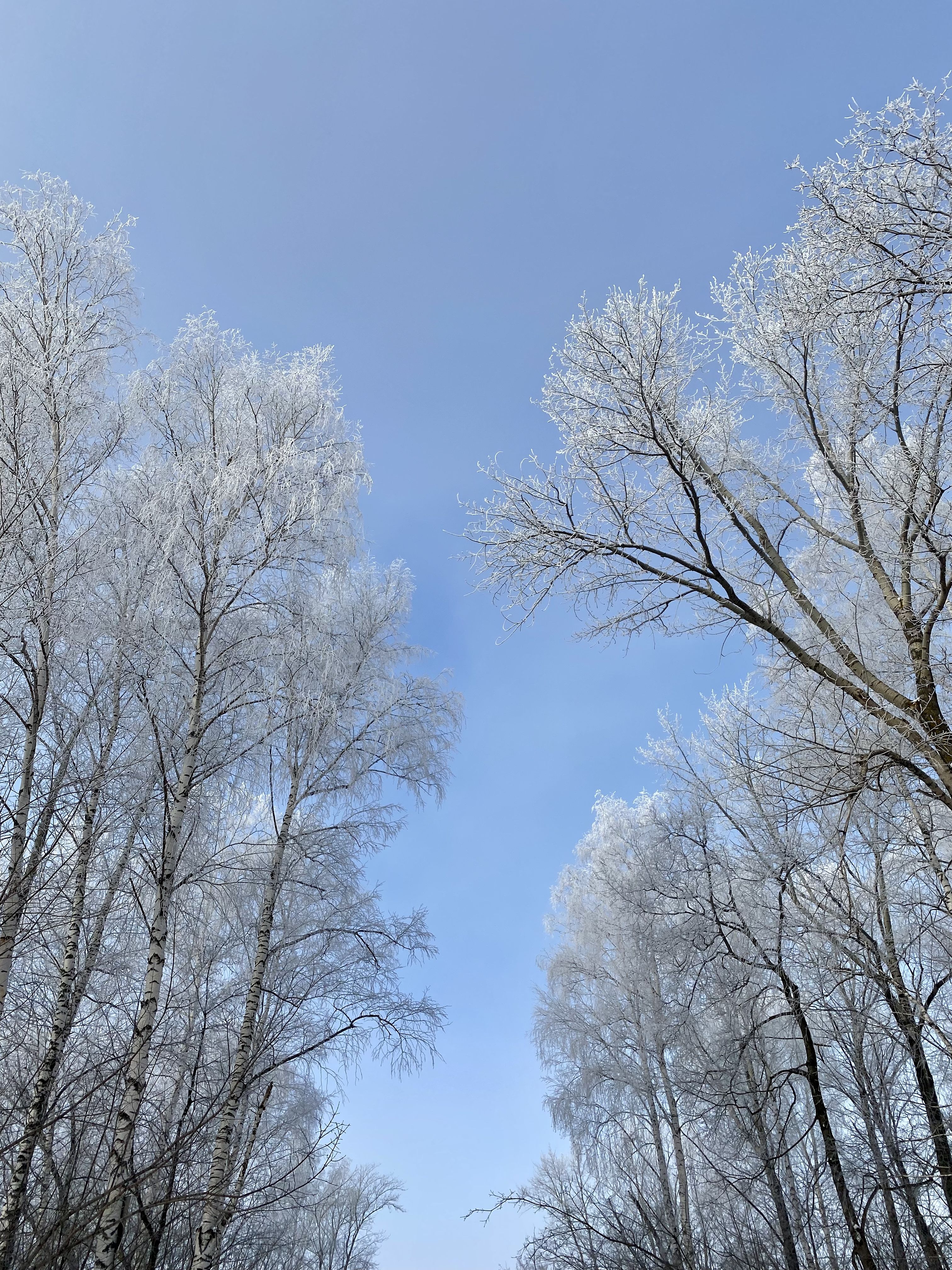 /pic/uploaded/B580BFA7-D893-40C9-9EFC-639B83496D19.jpeg