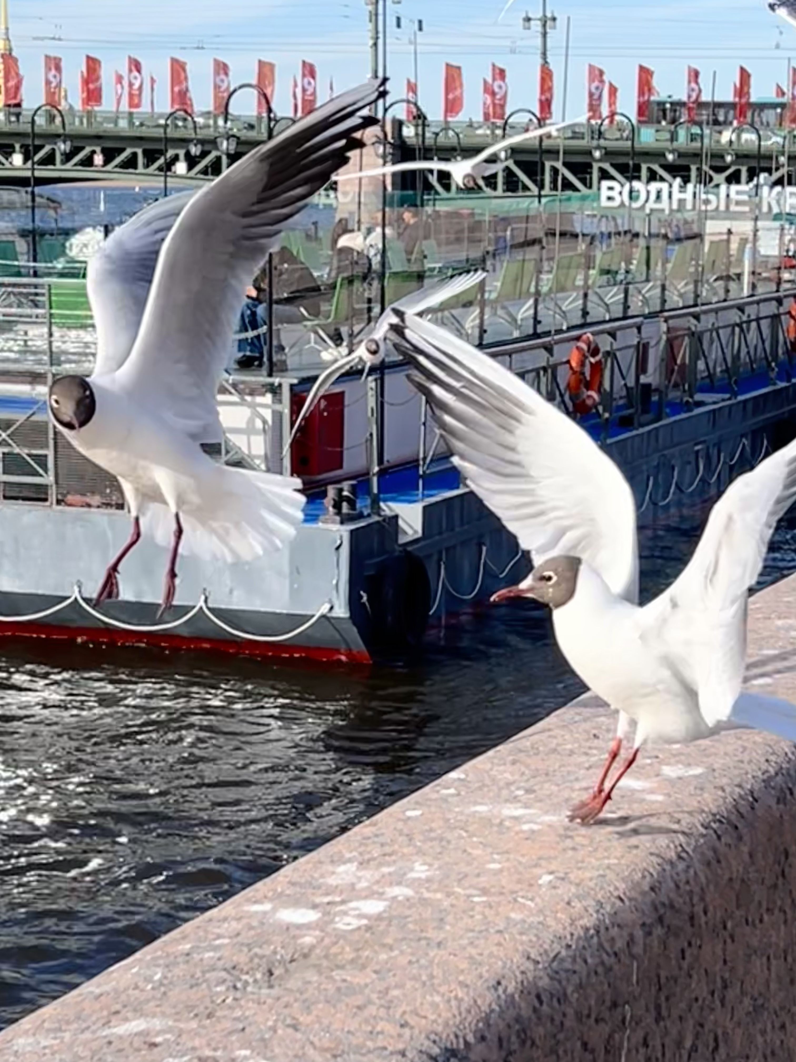/pic/uploaded/C5D33C4D-7A5D-4169-8225-29B38C0B63A6.jpeg
