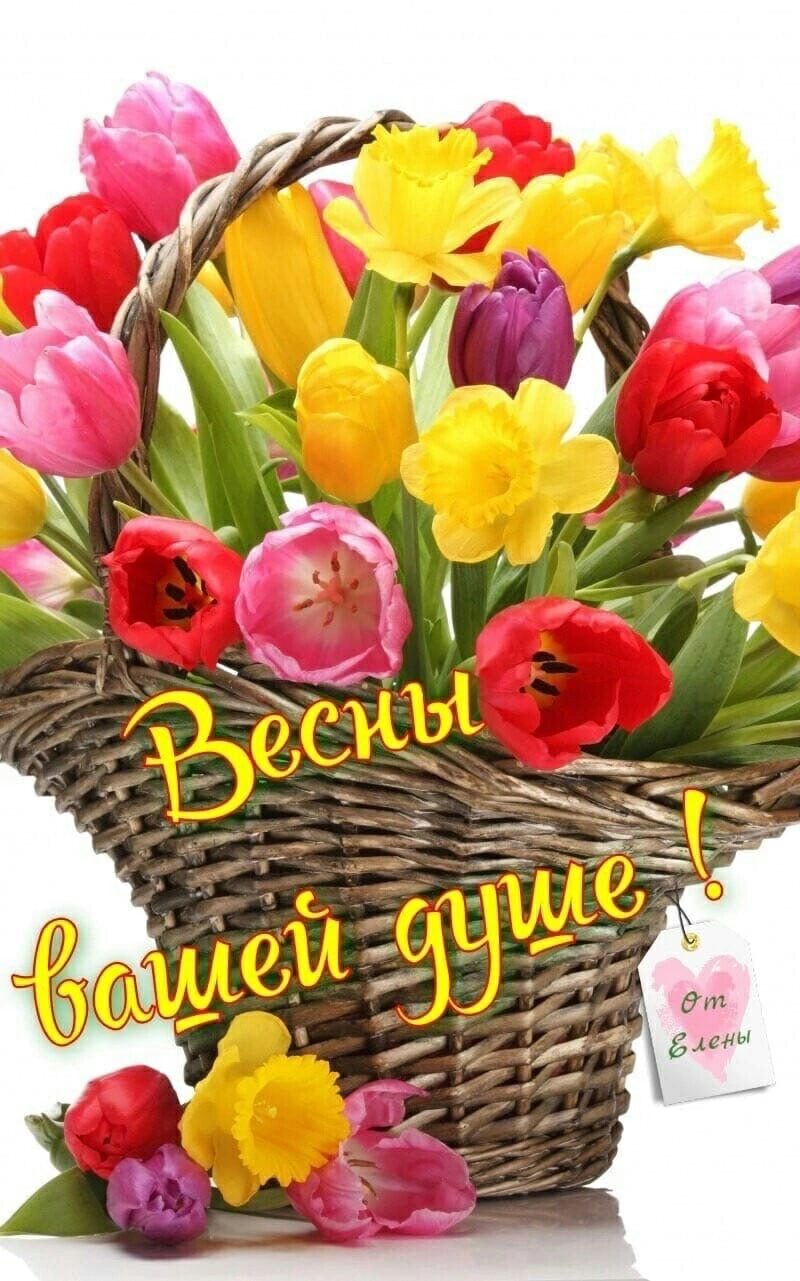 /pic/uploaded/D3DE1CF9-9FD9-46C1-8006-A901946FE359.jpeg