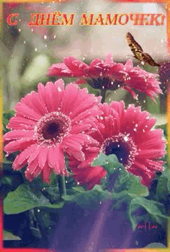 /pic/uploaded/DDB92FFF-0EE4-47FE-8FB1-9D7ECDF7B7DF.gif