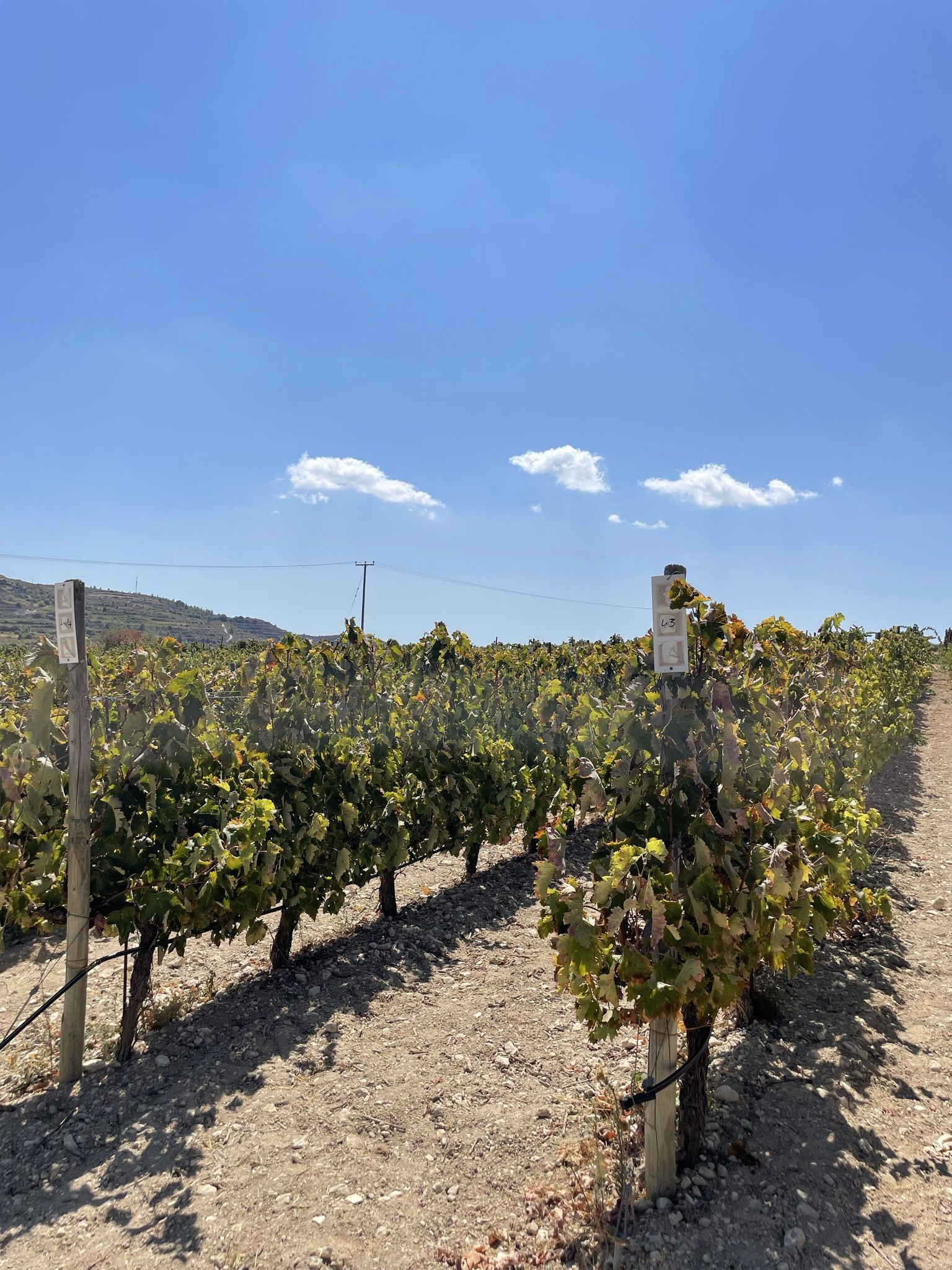 /pic/uploaded/DDB9AD31-2AA5-4EB1-96EA-390B9CDFA62D.jpeg