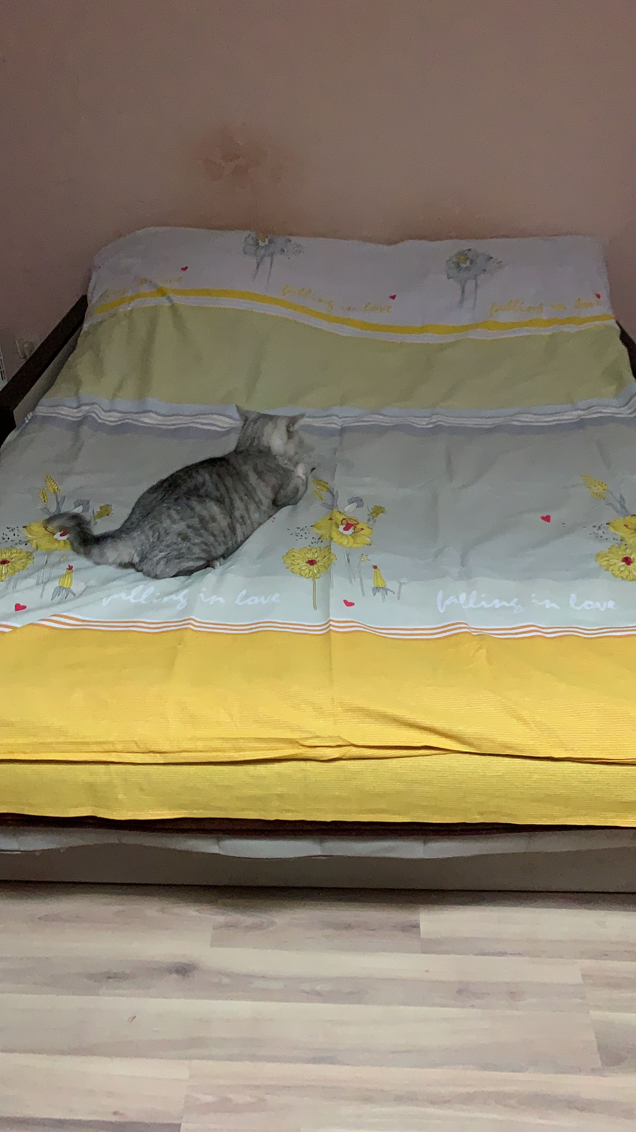 /pic/uploaded/E1C26811-6CCD-4197-96C5-C701DB857A81.jpeg