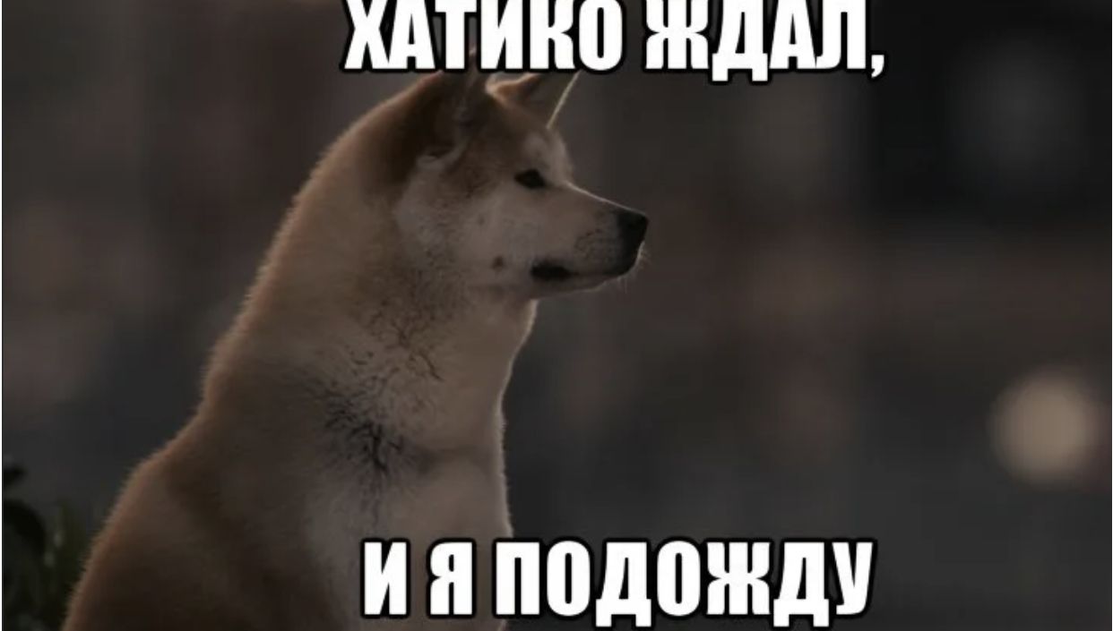 /pic/uploaded/F0B5676E-AD58-4C2B-B14D-74D8B571A576.jpeg