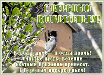 /pic/uploaded/F4743D8E-087B-4F1A-AFBB-7F596C538DA4.gif