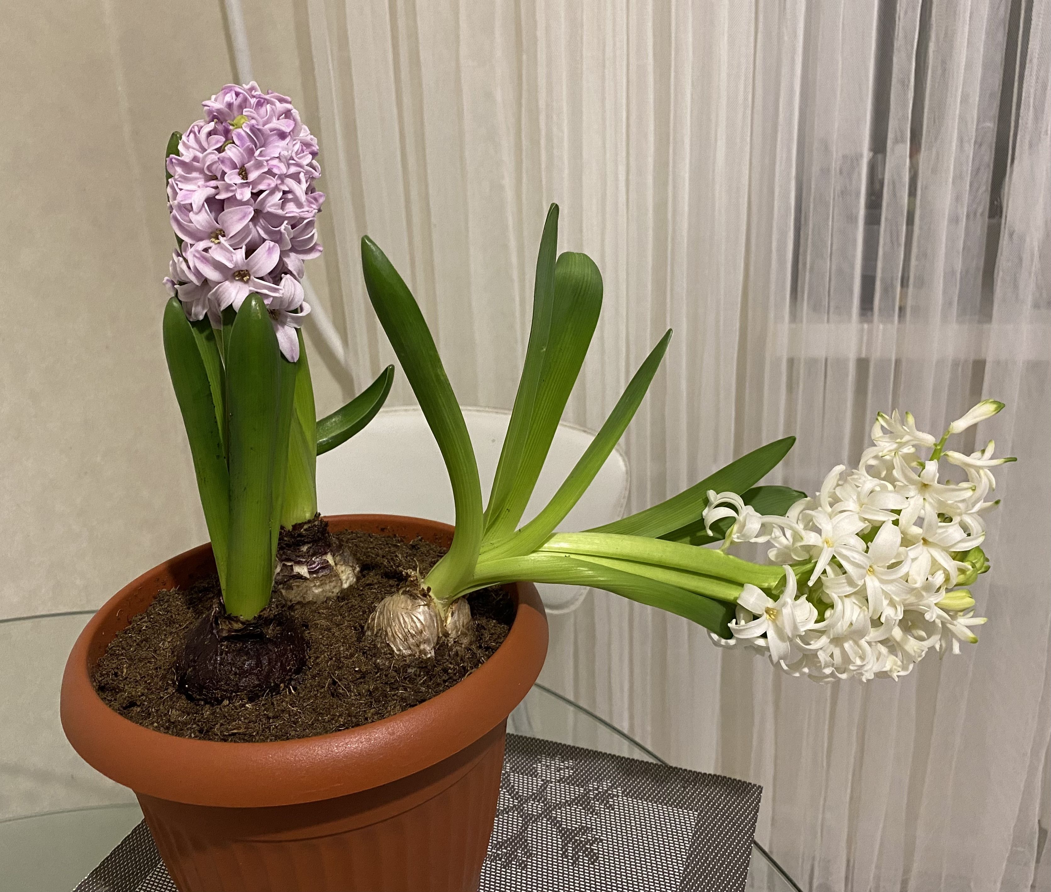 /pic/uploaded/F512904D-F14E-4612-B7DE-BC58019BA5CC.jpeg