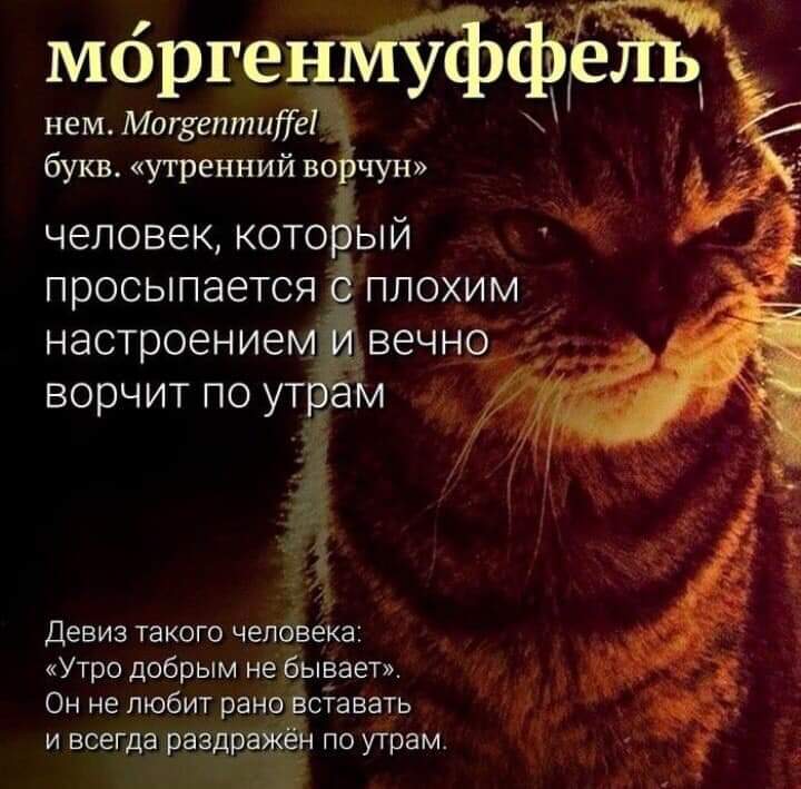 /pic/uploaded/FB_IMG_1593196778997.jpg