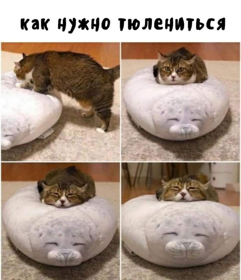/pic/uploaded/FB_IMG_1601661520995.jpg