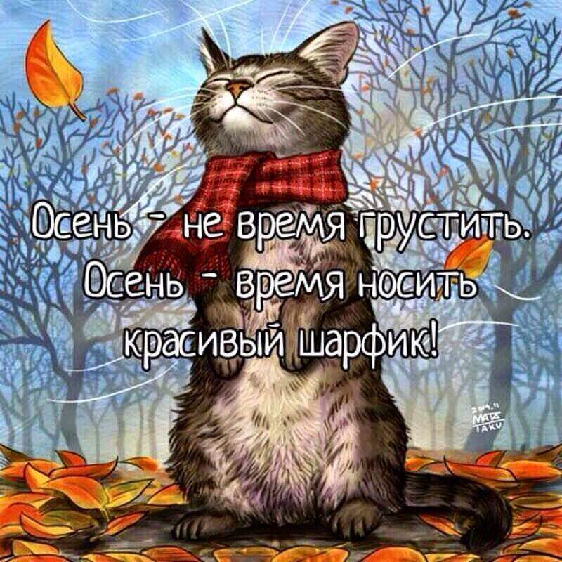 /pic/uploaded/FB_IMG_1603268017935.jpg
