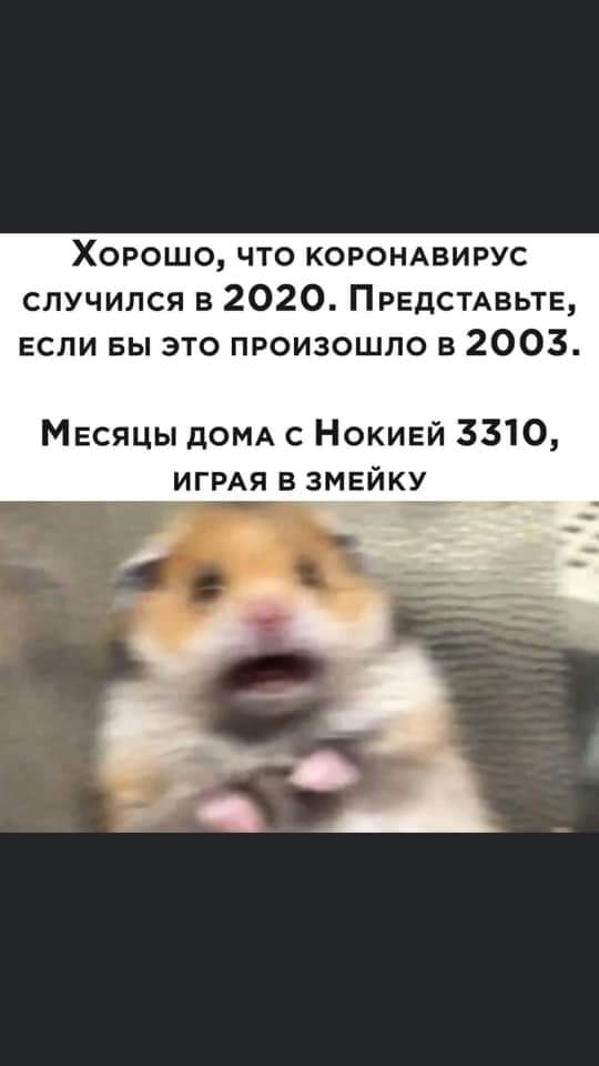 /pic/uploaded/FB_IMG_1603836451368.jpg