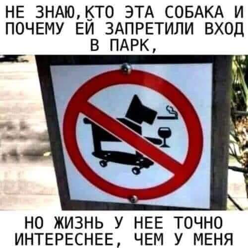 /pic/uploaded/FB_IMG_1608327673348.jpg