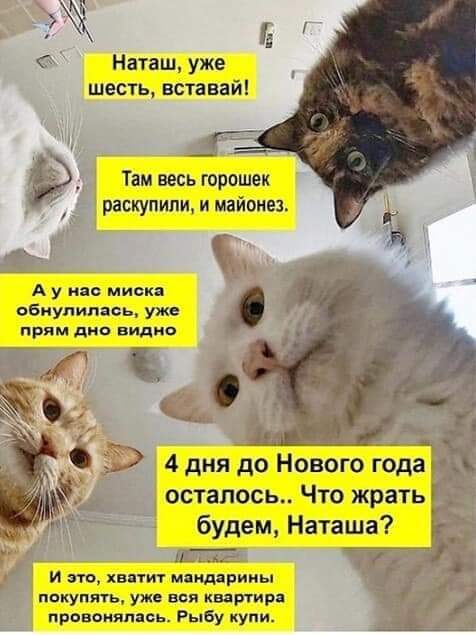 /pic/uploaded/FB_IMG_1609194169947.jpg