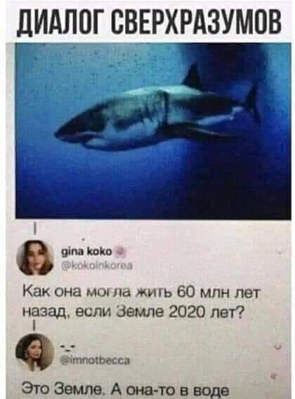 /pic/uploaded/FB_IMG_1609370193697.jpg